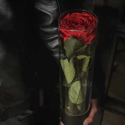 Promise Infinite Rose