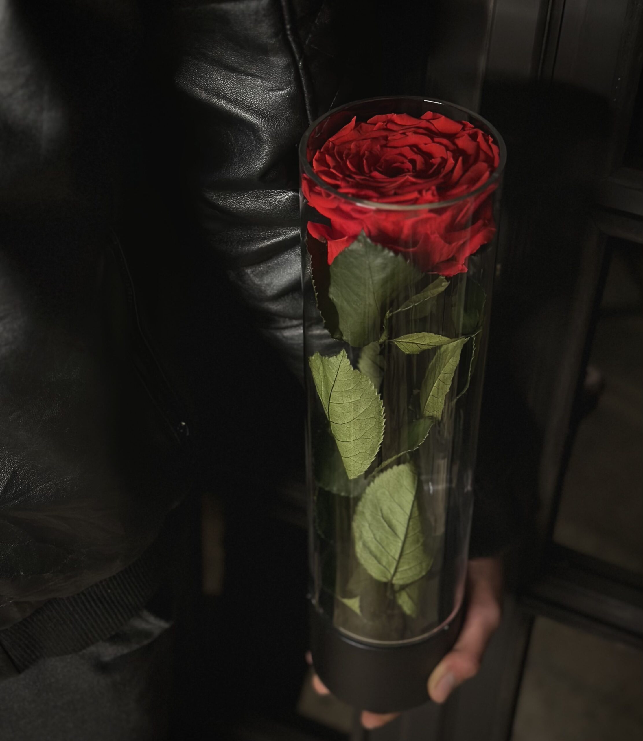 Promise Infinite Rose