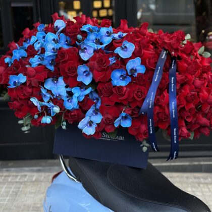 Blue Magic Rectangle