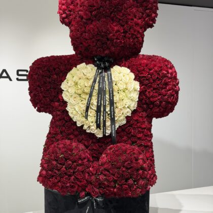 The Bear of a Billion Blushes