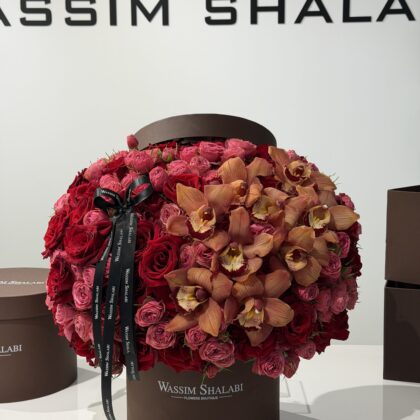 Chocolate  Cymbidium