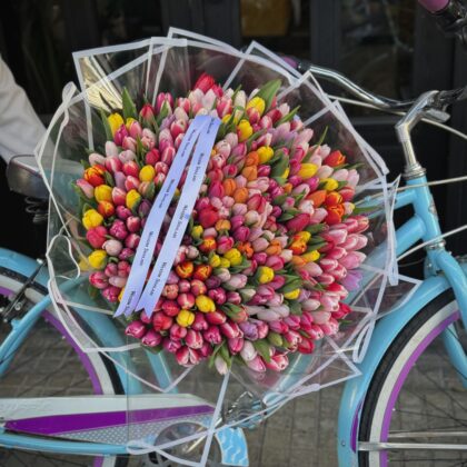 The Tulip Collection