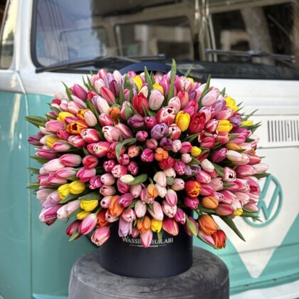 Tulips Box by Wassim Shalabi