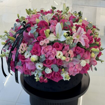 Pink Grace Collection