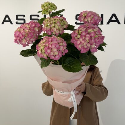 Hydrangeas Bouquet